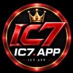 IC7 Game Disclaimer